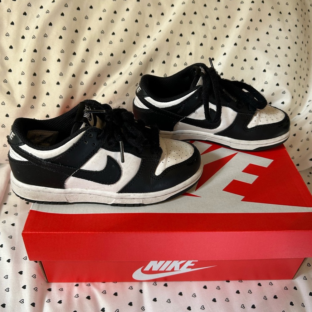 Kid dunks